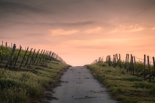 Image narrow road, road, cloud, plant, natural landscape