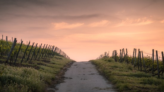 Image narrow road, road, cloud, plant, natural landscape