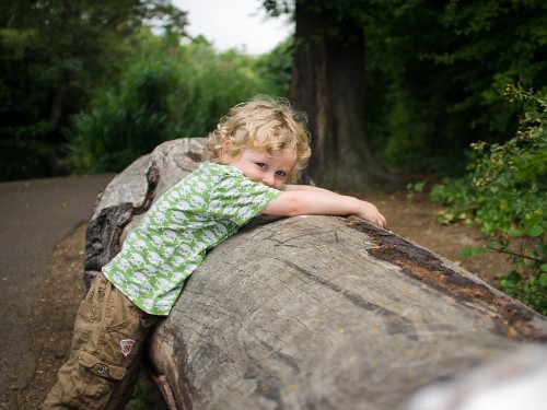 Image tree, woodland, child, jungle, vacation