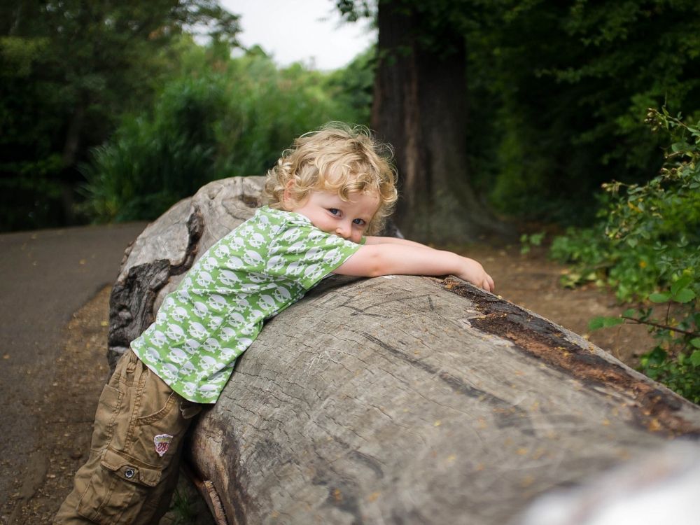 tree, woodland, child, jungle, vacation