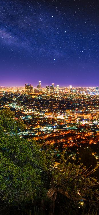 los angeles, building, skyscraper, atmosphere, world