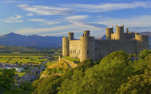 Image gray concrete castle on green grass field under white clouds and blue sky during daytime