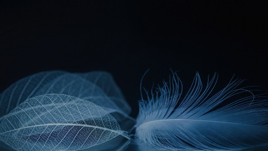 Image ZTE, ZTE Axon M, zte axon, zte axon 10 pro, smartphone