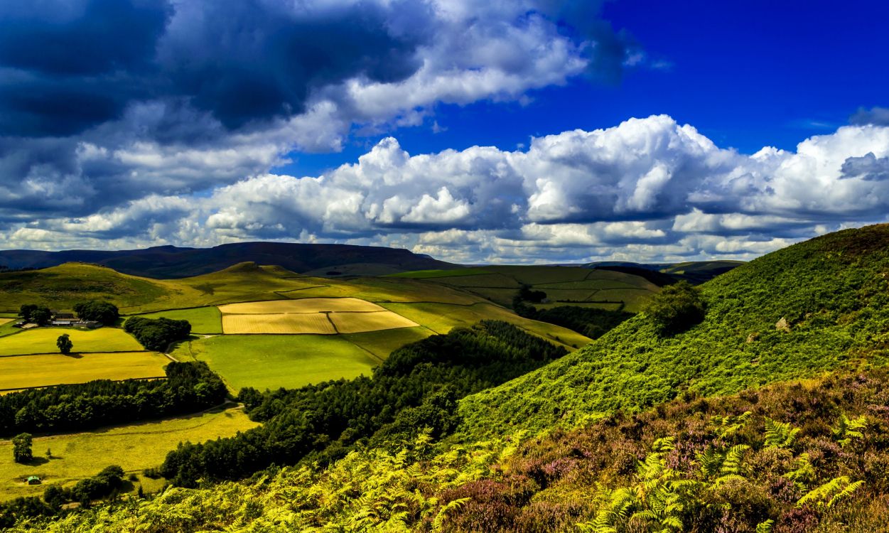 Grüne Wiese Unter Blauem Himmel Und Weißen Wolken Tagsüber. Wallpaper in 3336x2000 Resolution