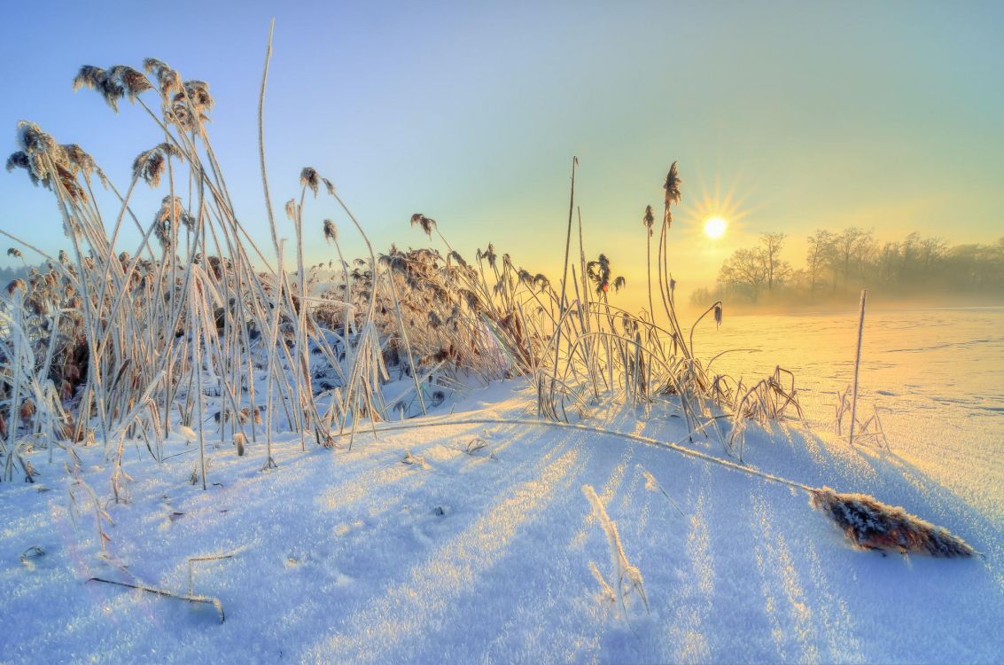 brown grass on snow covered ground during sunset