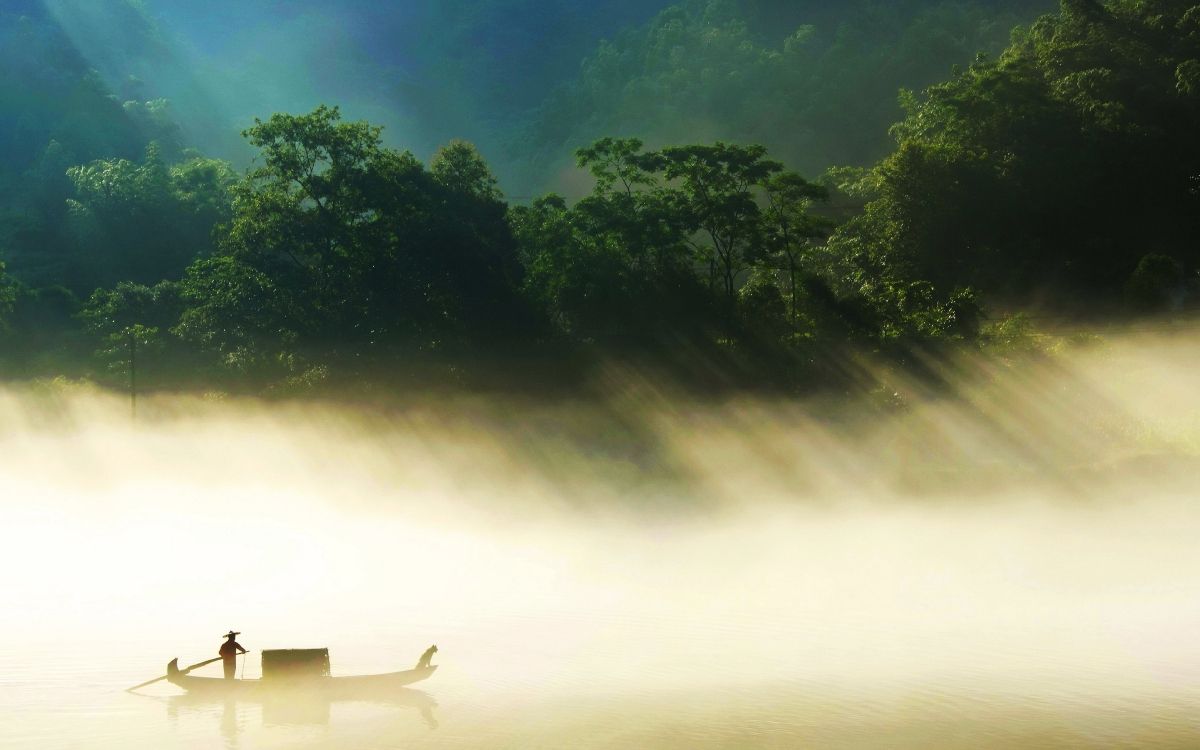 nature, atmosphere, water, morning, mist