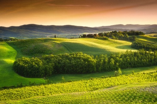 Image green grass field under blue sky during daytime