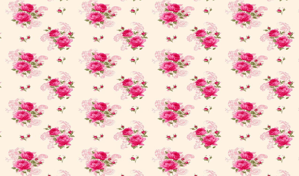 花卉设计, 粉红色, 玫瑰花园, 品红色, 纹理 壁纸 3402x2000 允许