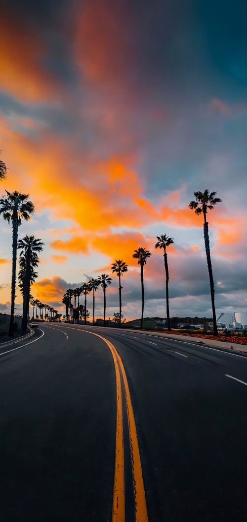 Image cloud, daytime, plant, tree, road surface