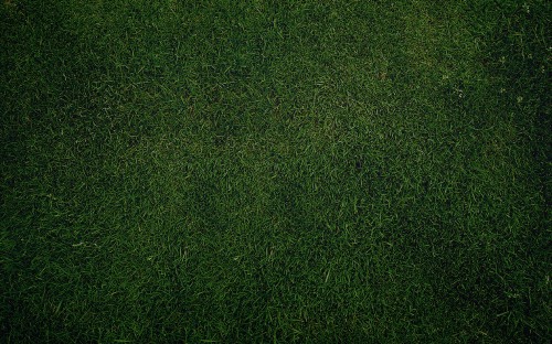 Image green grass field during daytime