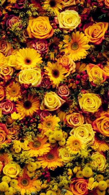 Image yellow and orange flower field
