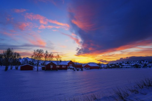 Image houses on snow covered ground during sunset