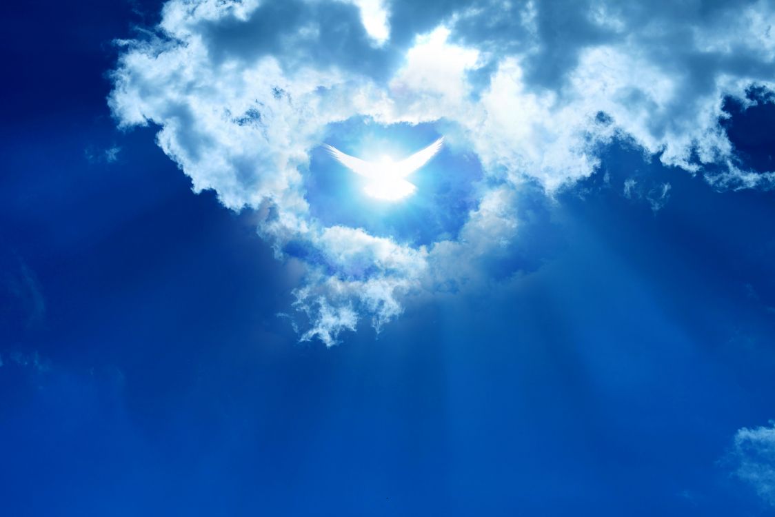 Nubes Blancas y Cielo Azul. Wallpaper in 6500x4334 Resolution
