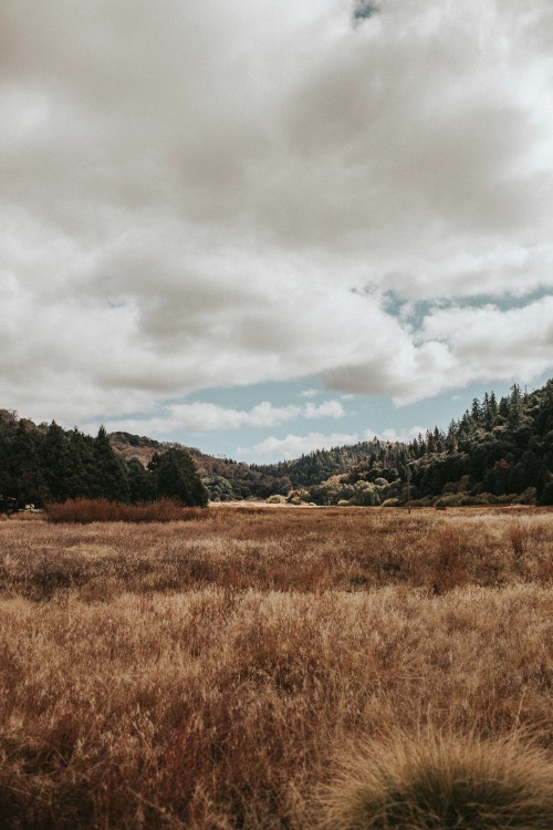 Image natural landscape, nature, cloud, natural environment, grassland