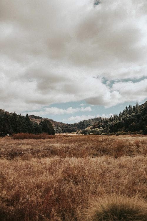 natural landscape, nature, cloud, natural environment, grassland