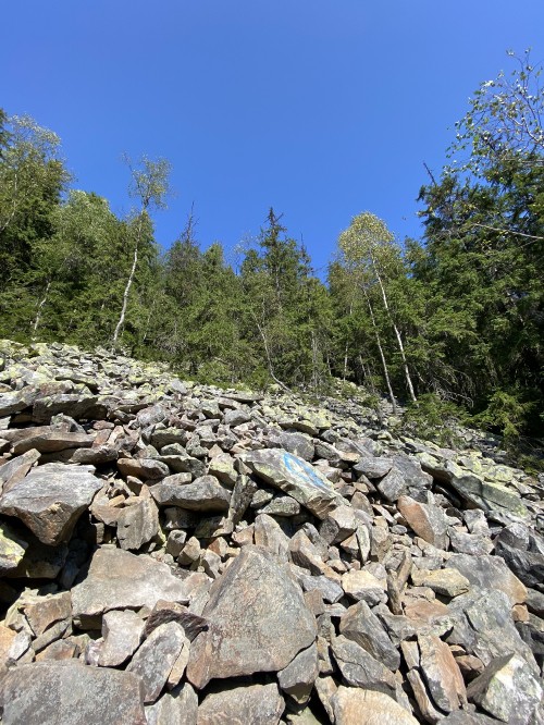 Image wilderness, water, rock, plant community, bedrock