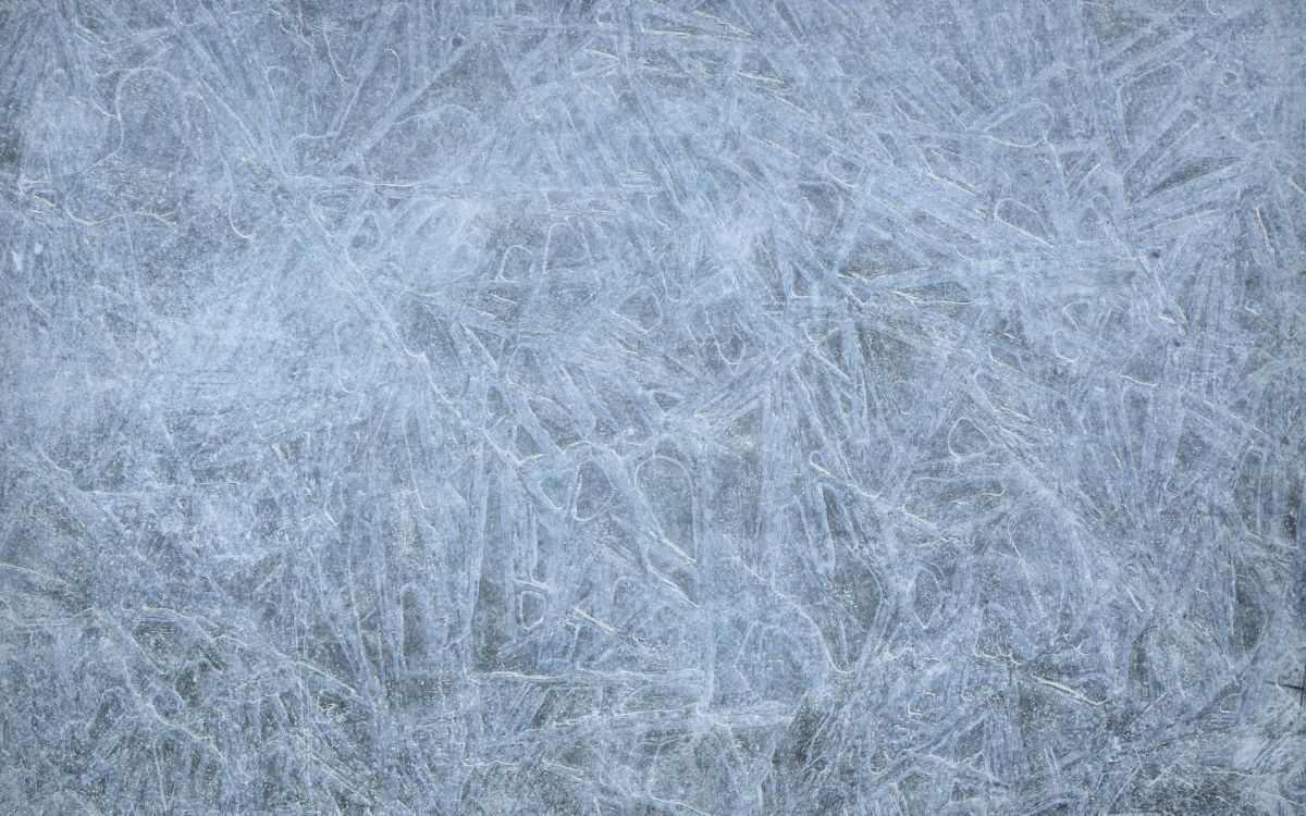 brown grass field during daytime