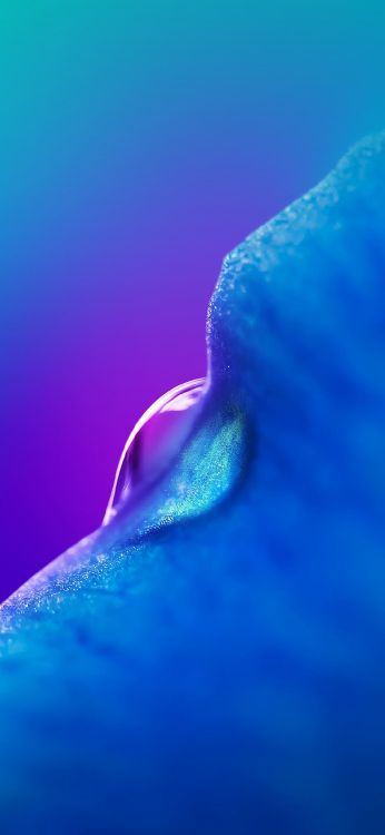 Fantôme 9, Tecno Fantôme 9, Smartphone, Tecno, Android. Wallpaper in 1080x2340 Resolution