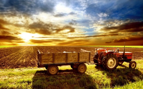 Image red tractor on green grass field during daytime