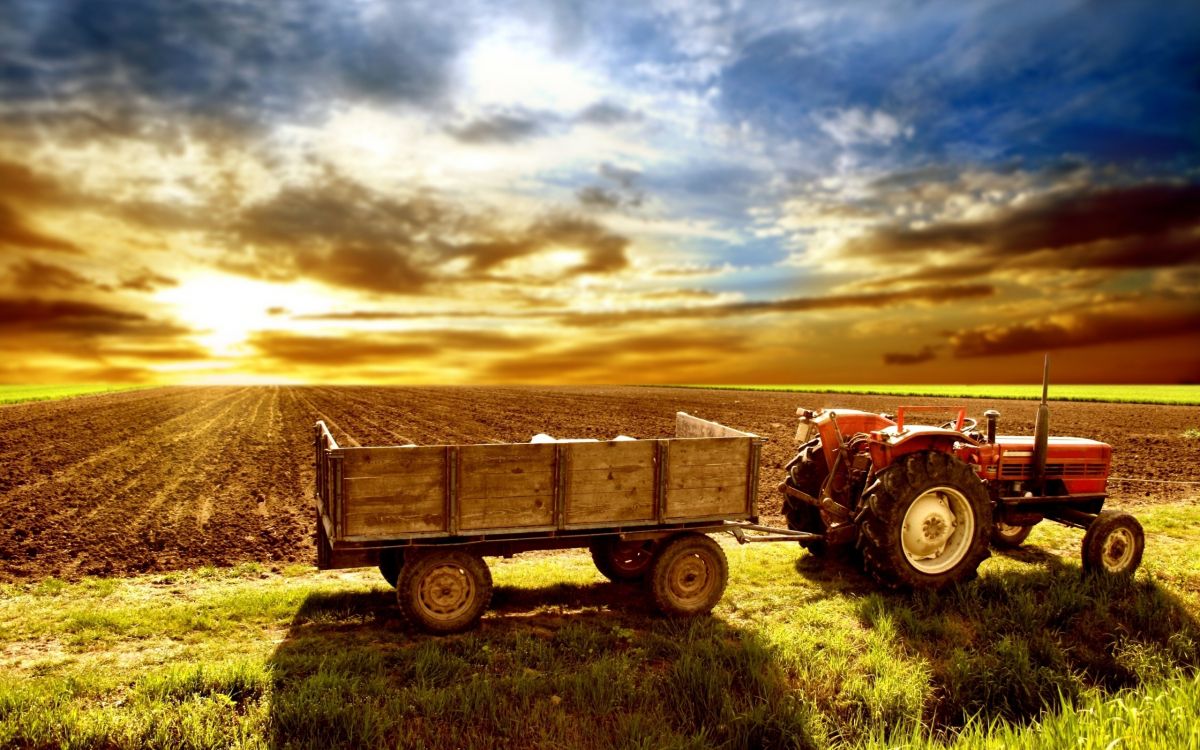 red tractor on green grass field during daytime