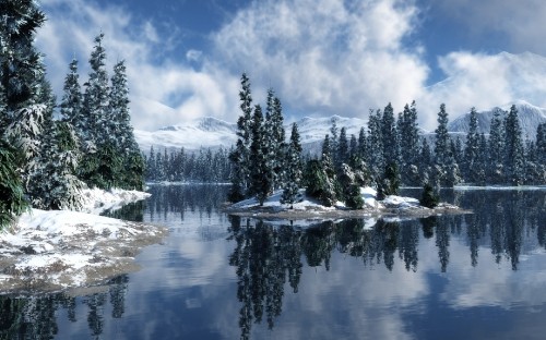 Image green pine trees near lake under blue sky during daytime