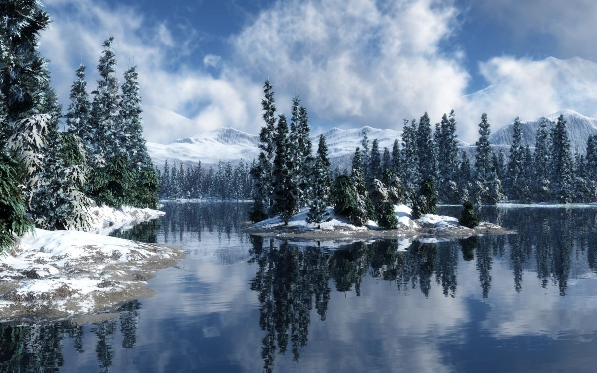 green pine trees near lake under blue sky during daytime