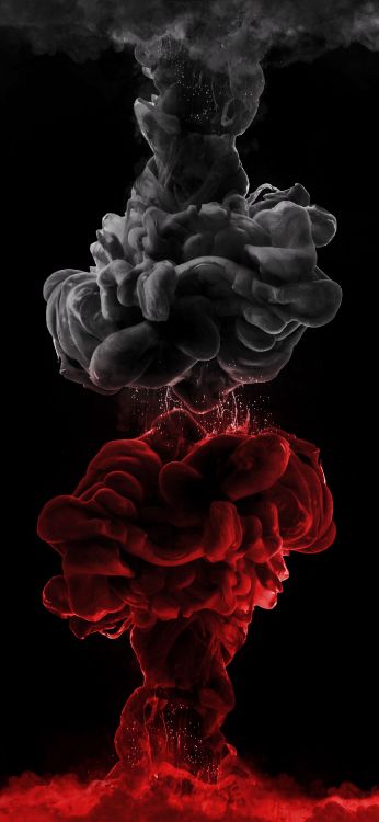 Pétale, Gaz, Obscurité, la Famille Rose, la Floraison de la Plante. Wallpaper in 1407x3045 Resolution