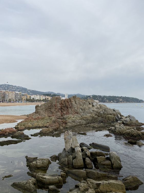 Mar, Agua, Costa, Orilla, Playa Levantada. Wallpaper in 1536x2048 Resolution