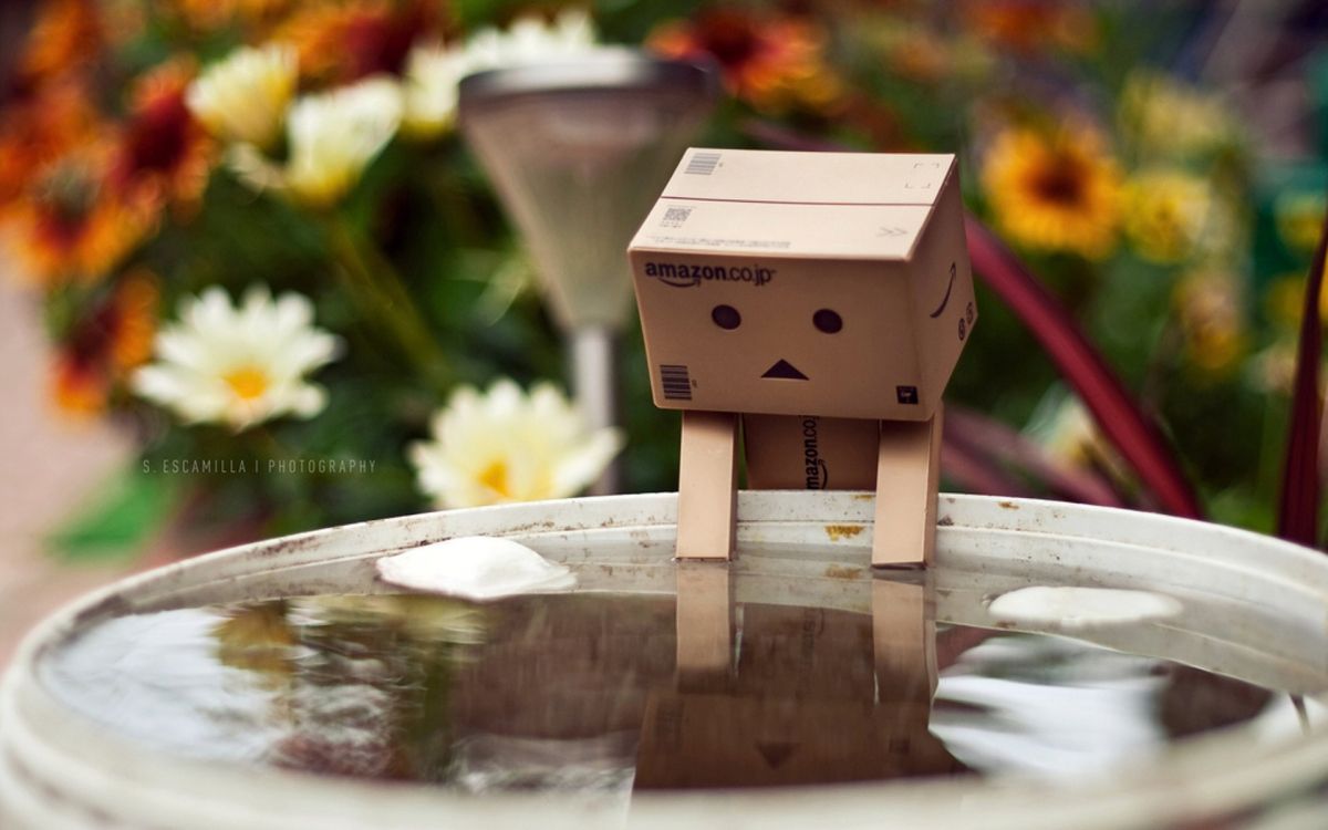 brown cardboard box figure on water