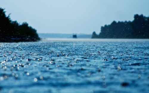 Image body of water near green trees during daytime