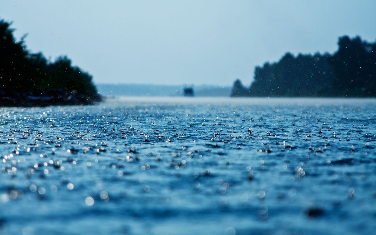 body of water near green trees during daytime