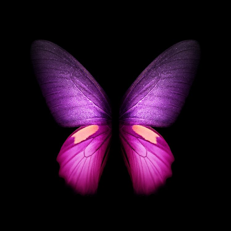 Samsung Galaxy, Samsung, Samsung Galaxy Fold, 智能手机, 安卓 壁纸 2152x2152 允许