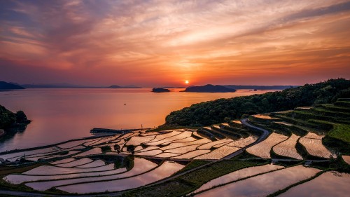 Image green grass field near body of water during sunset