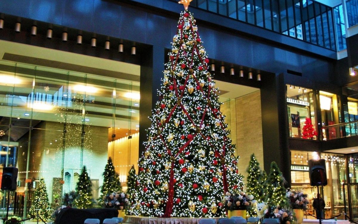 Arbre de Noël, Décoration de Noël, Les Lumières de Noël, Sapin, Nouvelle Année. Wallpaper in 1920x1200 Resolution