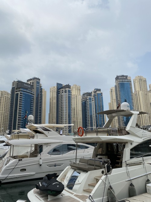 Image marina, tower block, watercraft, cityscape, metropolis