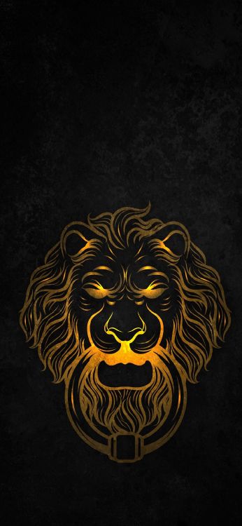 Des Gros Chats, Arts Visuels, Cheveu, Tête, Barbe. Wallpaper in 1080x2340 Resolution