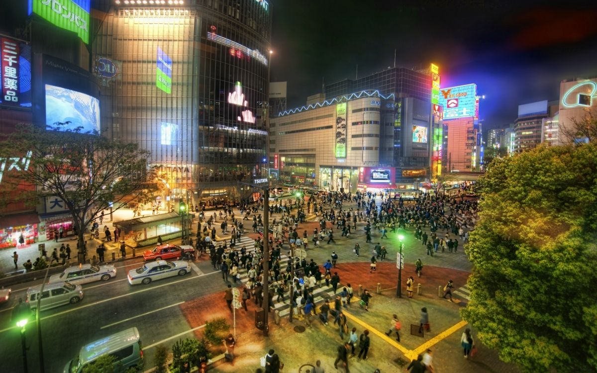 people walking on street during night time