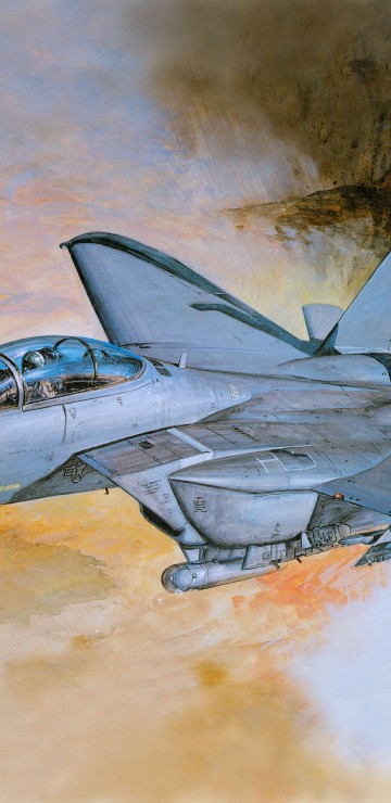 Grumman F-14A Tomcat by AliceFromLake on DeviantArt