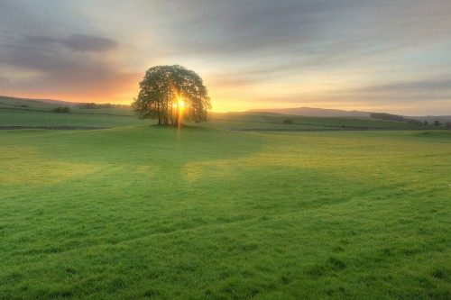 Image green grass field during daytime