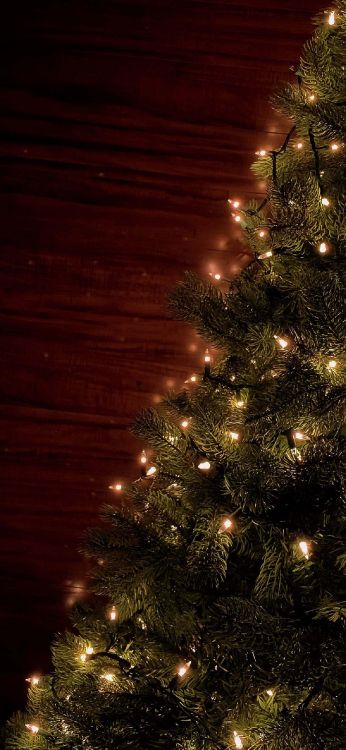 Mejor Feliz Navidad, El Día De Navidad, Luz, Adorno de Navidad, Alerce. Wallpaper in 1242x2688 Resolution