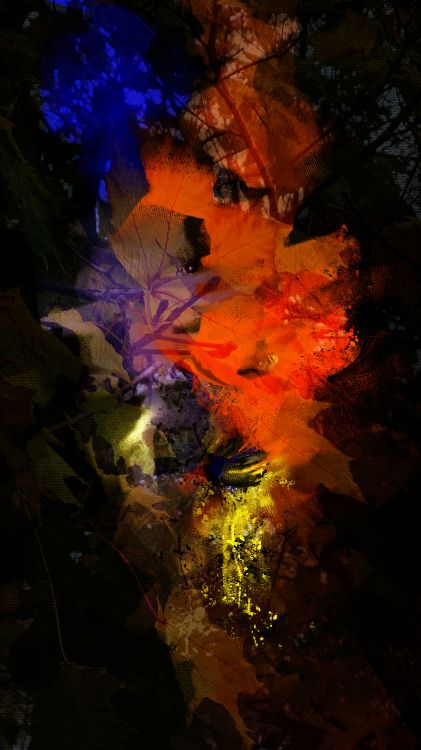 Natur, Erde, Wasser, Farbtöne Und Schattierungen, Kunst. Wallpaper in 4320x7680 Resolution