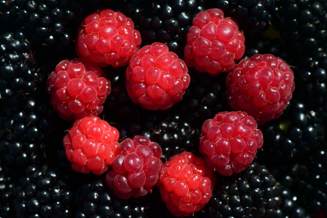 Fruit Rond Rouge Sur Surface Noire. Wallpaper in 6000x4000 Resolution
