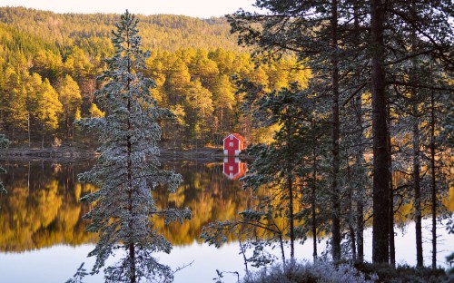 Image red and white wooden house near green trees and lake during daytime