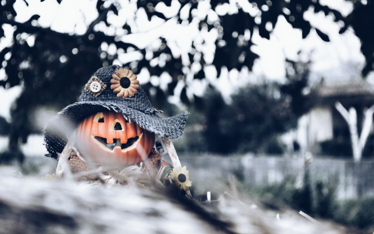 Winter, Baum, Schnee, Einfrieren, Halloween. Wallpaper in 2880x1800 Resolution