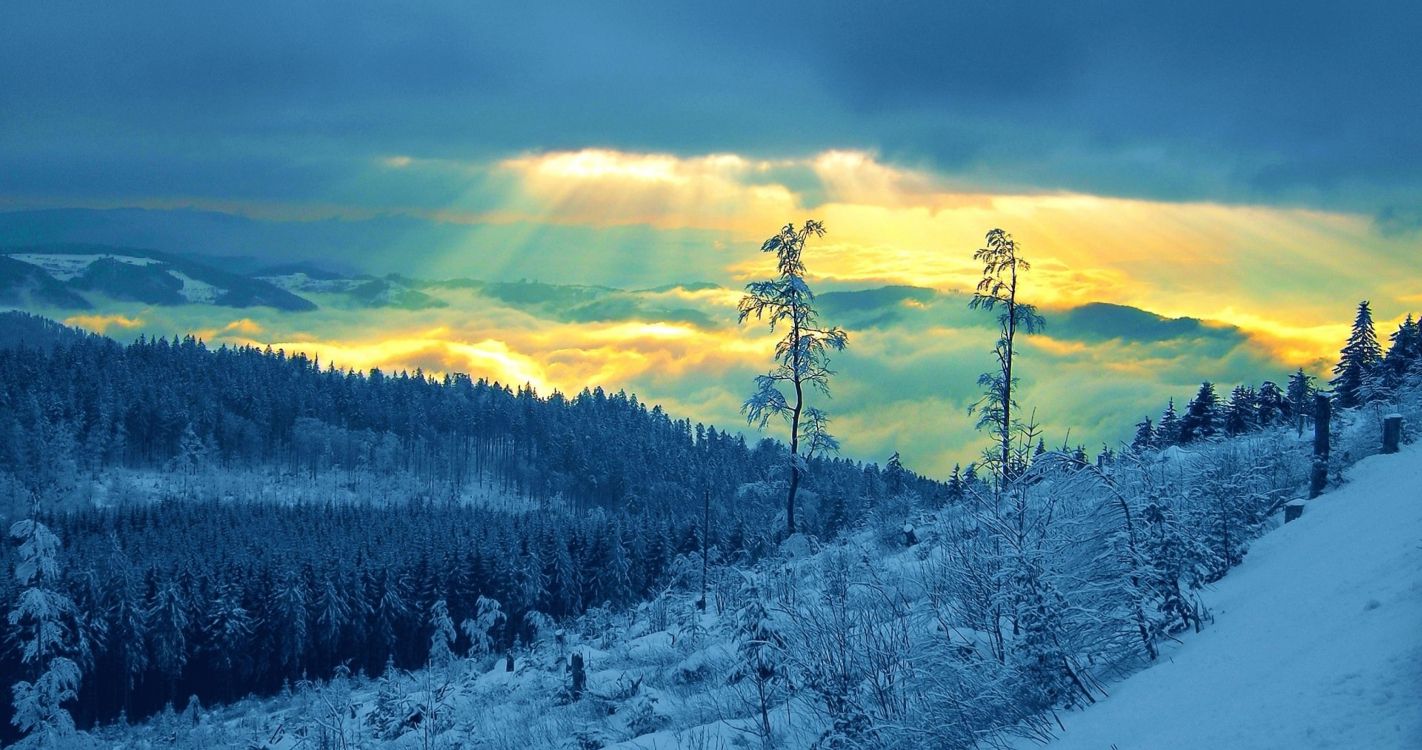 Schneebedeckte Bäume Unter Bewölktem Himmel Tagsüber. Wallpaper in 4096x2160 Resolution