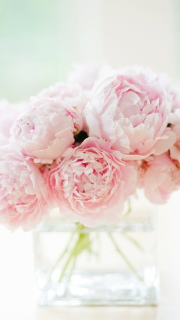 Image pink flowers in clear glass bottle