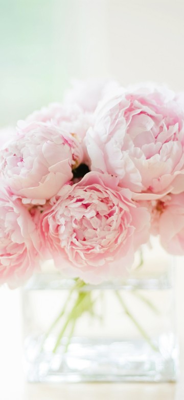 Image pink flowers in clear glass bottle