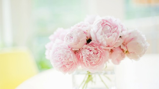 Image pink flowers in clear glass bottle