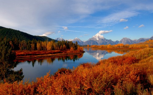 Image brown and green trees near lake under blue sky during daytime