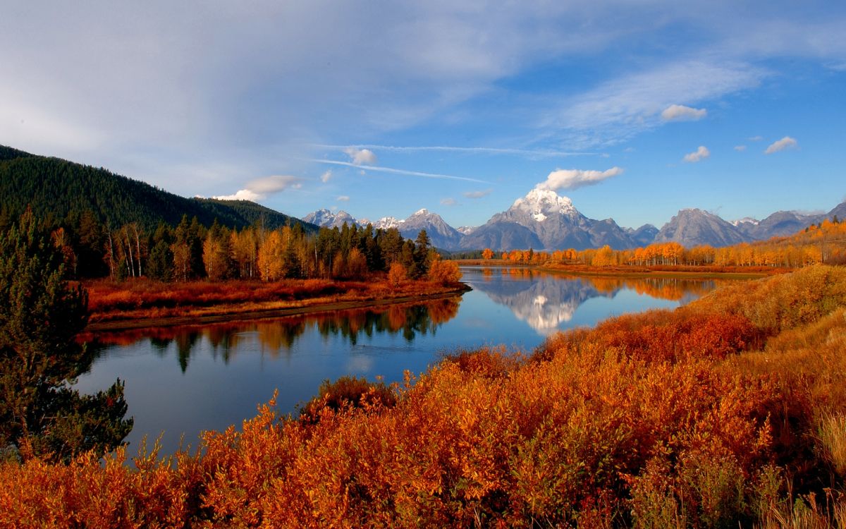 brown and green trees near lake under blue sky during daytime